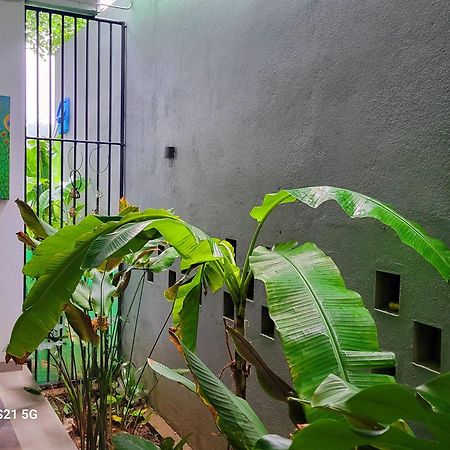 Barefoot Bungalow Hikka Хиккадува Экстерьер фото