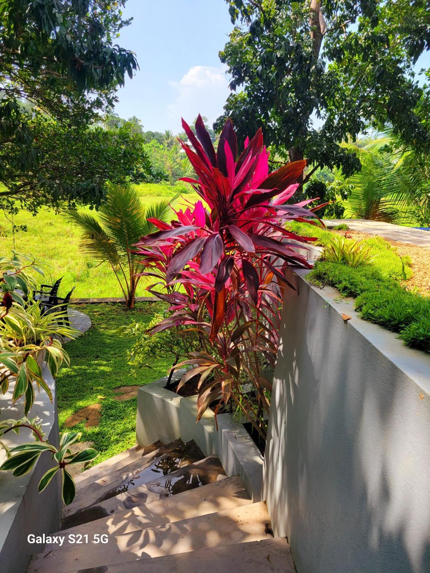 Barefoot Bungalow Hikka Хиккадува Экстерьер фото