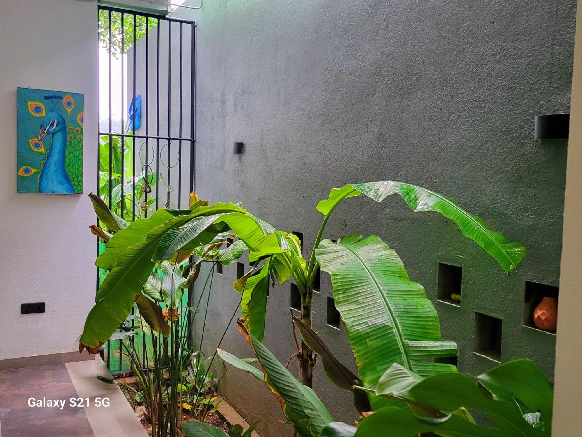 Barefoot Bungalow Hikka Хиккадува Экстерьер фото